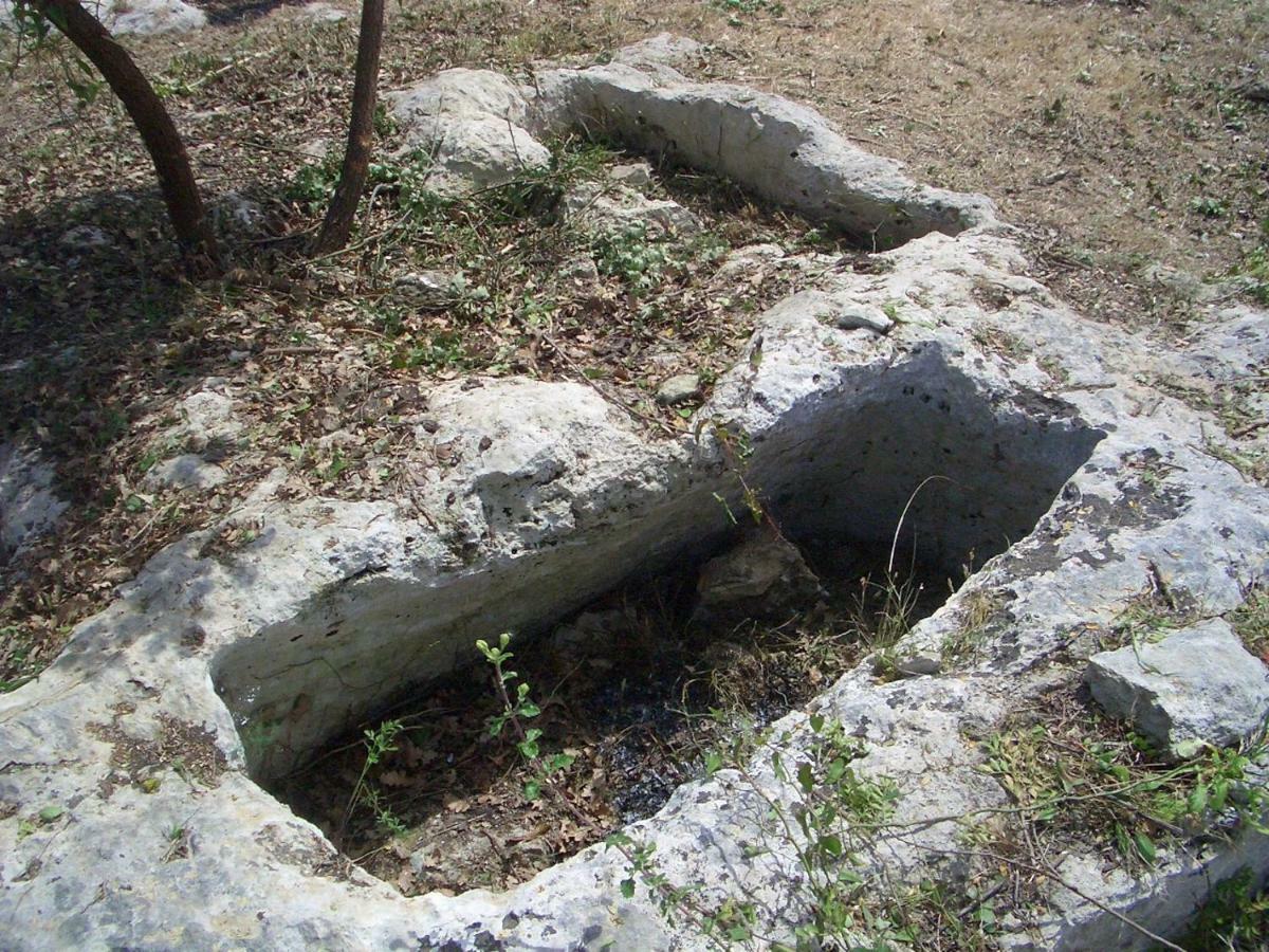 Mundus Terrae Villa Casa della Contessa Kültér fotó